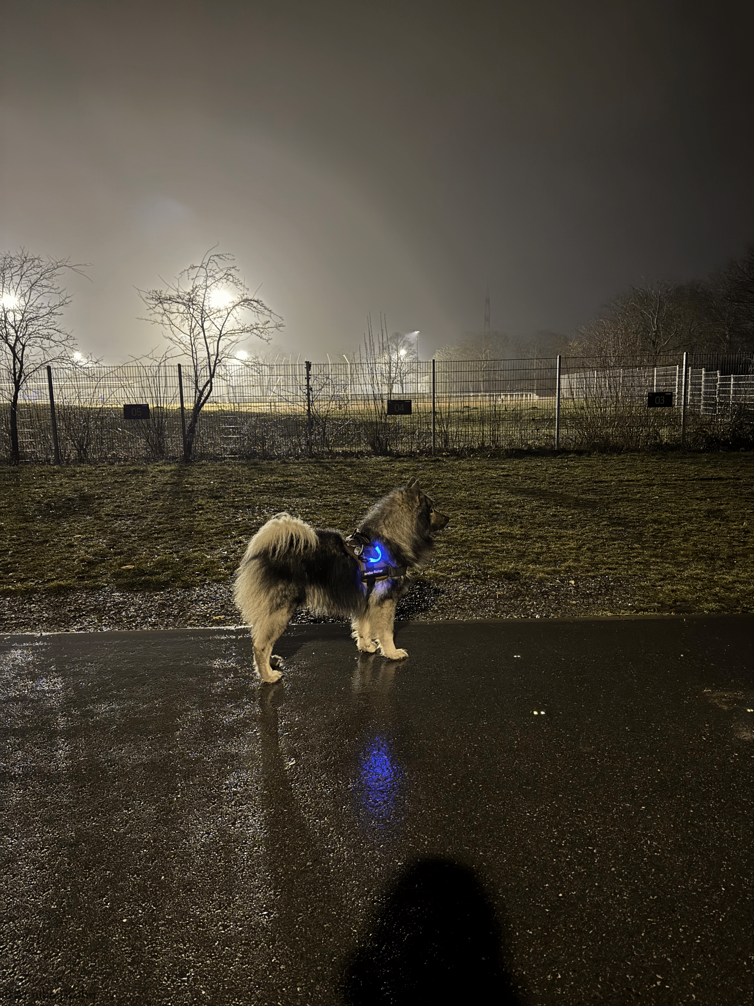 Im Regen auf Papa warten